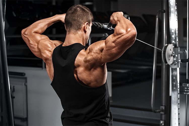 11 Best Rear Deltoid Exercises: Improve Your Shoulder Performance