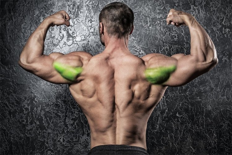 11 Best Rear Deltoid Exercises: Improve Your Shoulder Performance