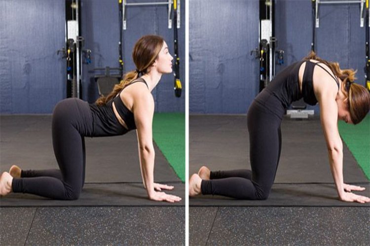 13 Chair Exercises That Work Your Whole Body