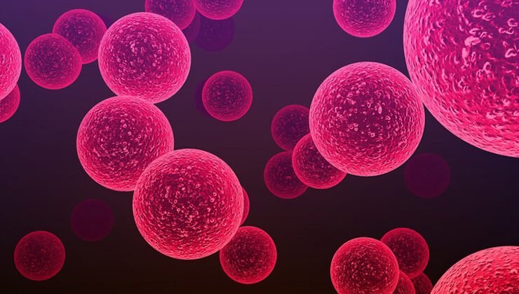 Cellulitis: How Long Does It Take to Heal on Legs?