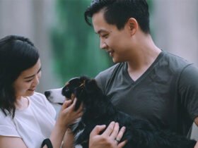 Dexamethasone for dogs