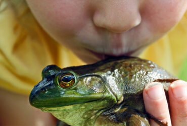 Small pets are adorable, but some carry dangerous bacteria