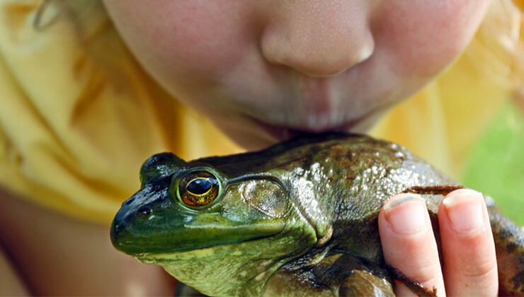 Small pets are adorable, but some carry dangerous bacteria