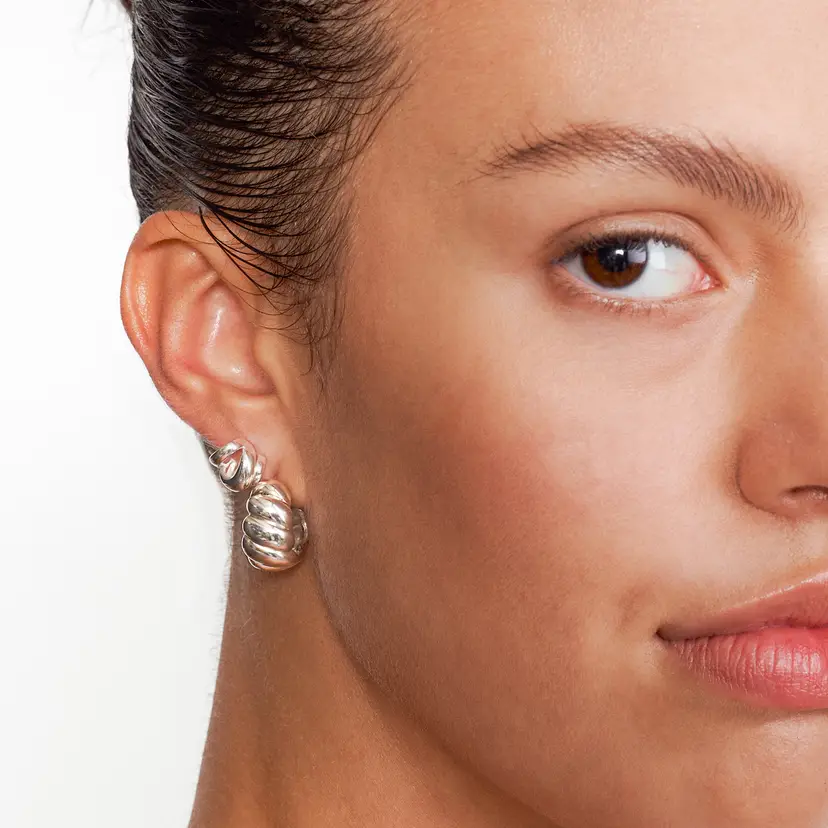 Women's Earrings 1